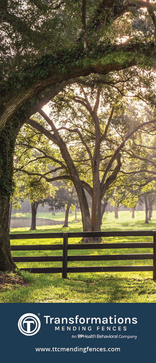 Mending Fences